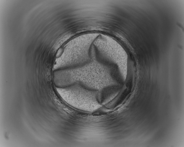 X0000099440977200806061040