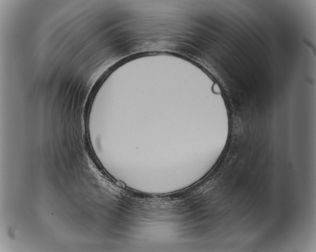 X0000099440980200806061040