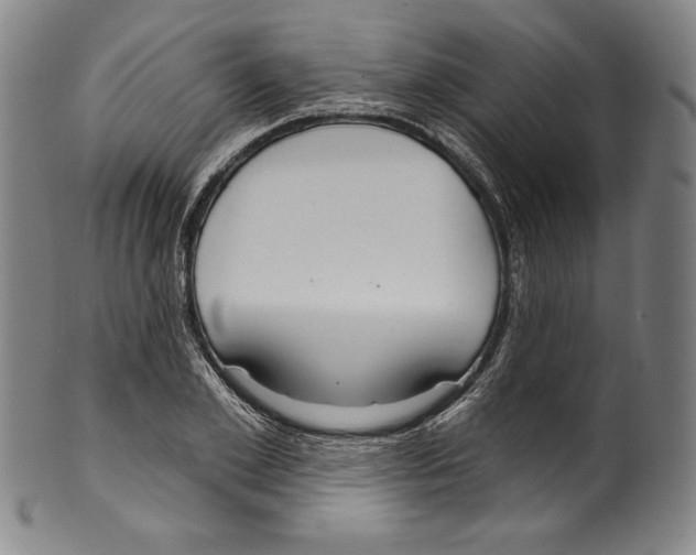 X0000099440981200806061040