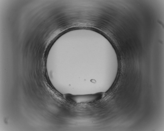 X0000099440982200806061040