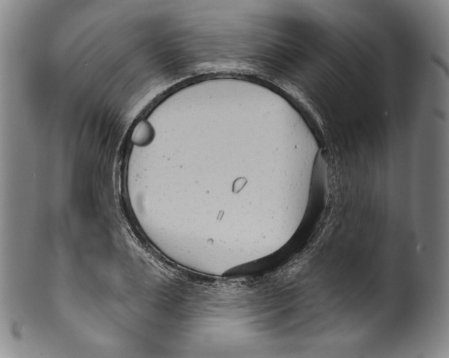 X0000099440983200806061040