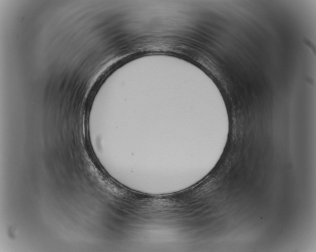 X0000099440984200806061040