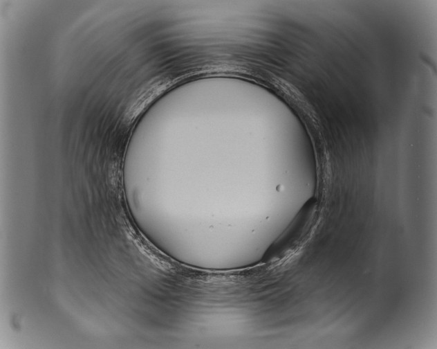 X0000099440985200806061040