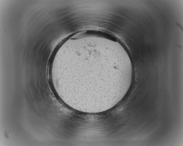 X0000099440987200806061040