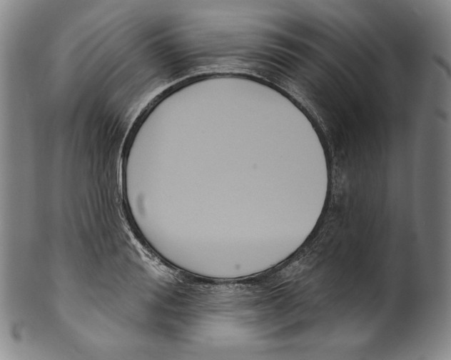 X0000099440988200806061040