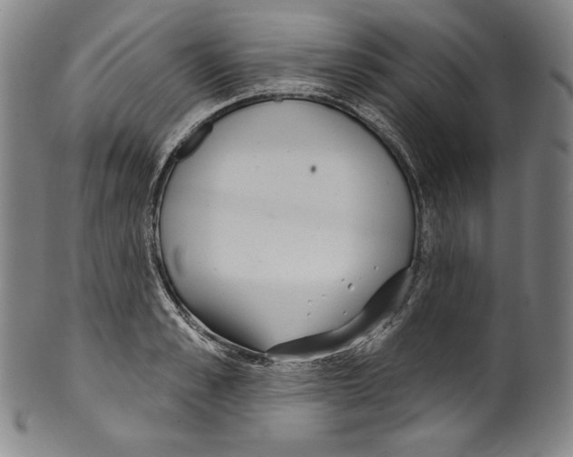 X0000099440989200806061040