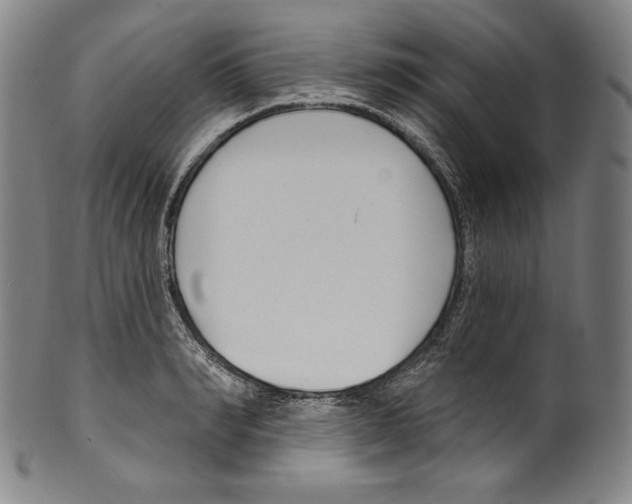 X0000099440990200806061040