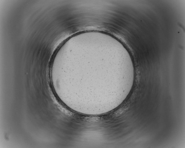 X0000099440991200806061040