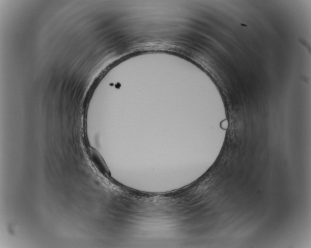 X0000099440992200806061040