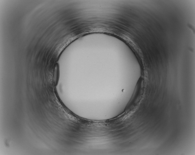 X0000099440993200806061040