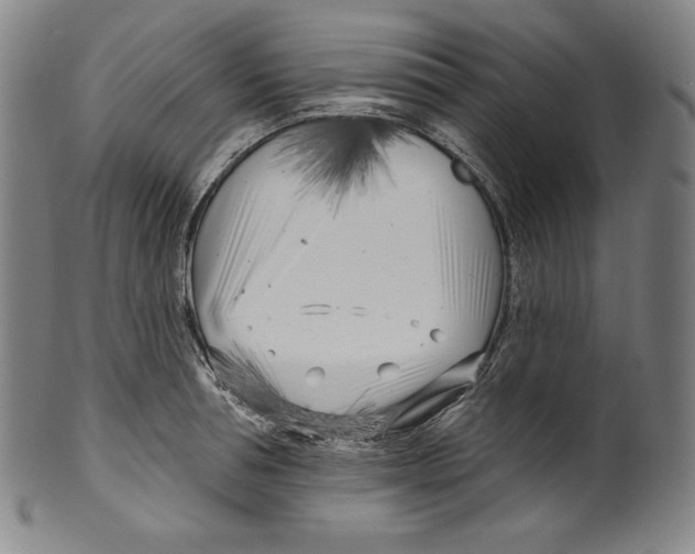 X0000099440994200806061040