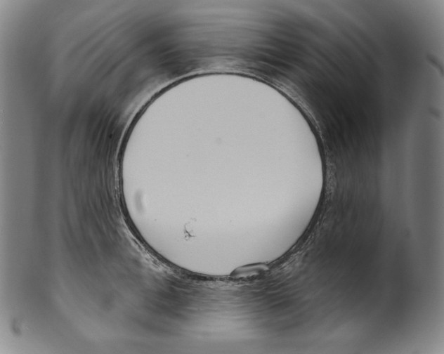 X0000099440996200806061040