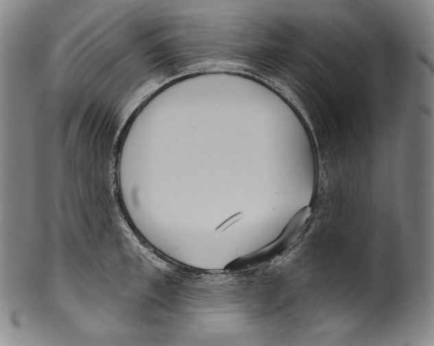 X0000099440997200806061040