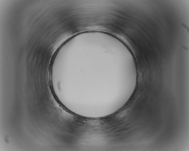 X0000099440999200806061040