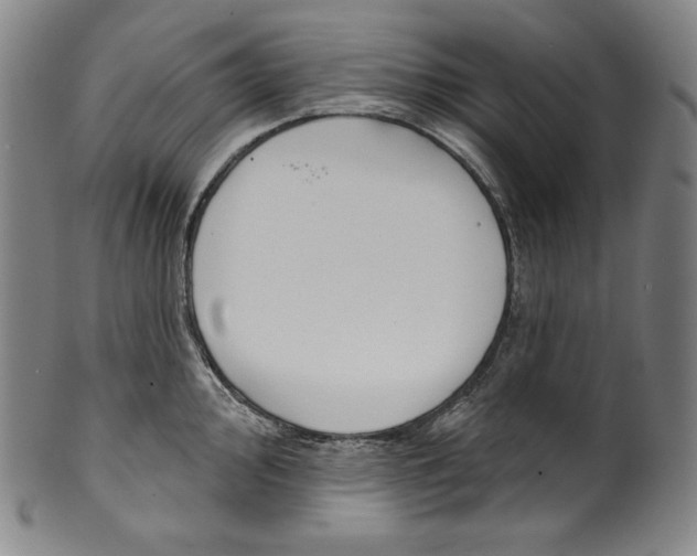 X0000099441000200806061039