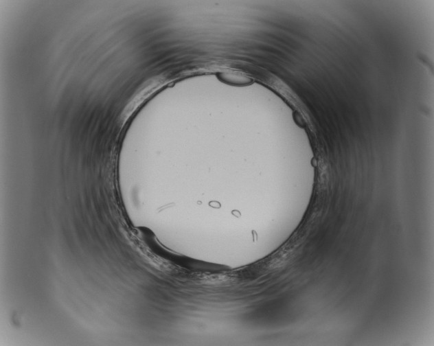 X0000099441002200806061039