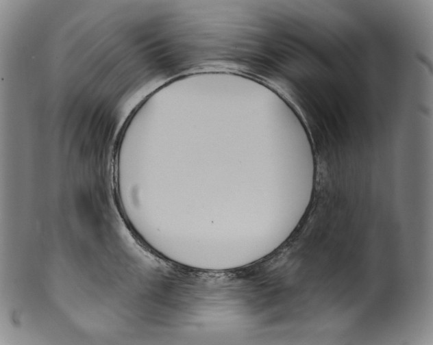 X0000099441003200806061039