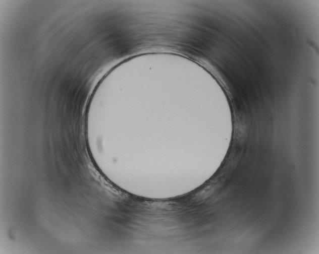 X0000099441004200806061039