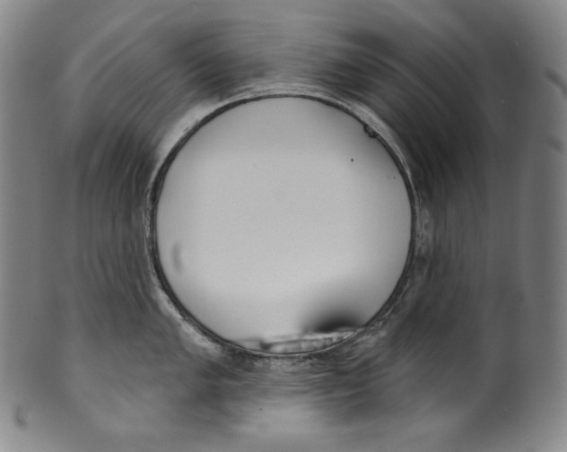 X0000099441005200806061039