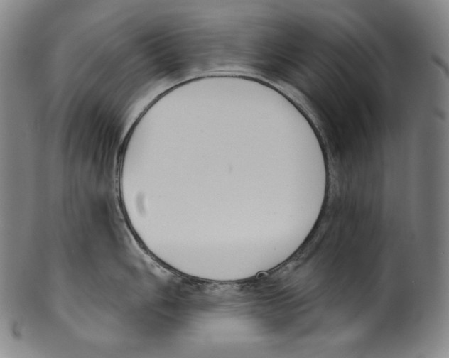 X0000099441006200806061039