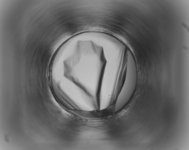 X0000099441007200806061039