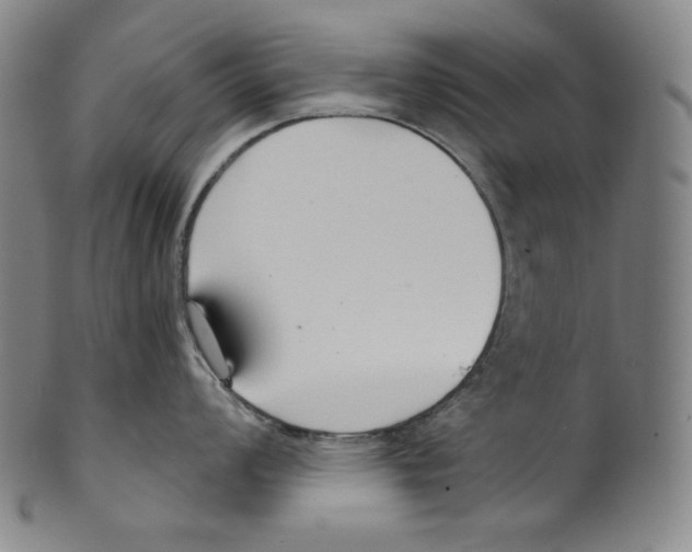 X0000099441008200806061039