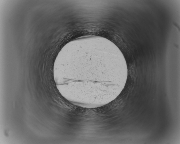 X0000099441009200806061039