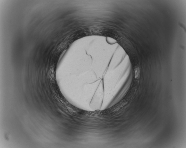 X0000099441011200806061039