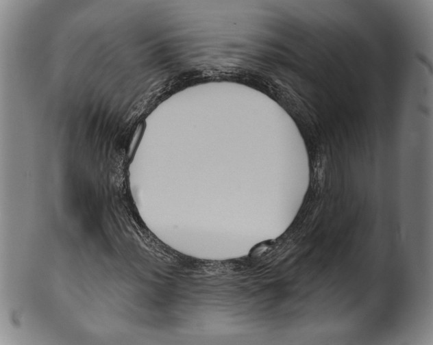 X0000099441012200806061039