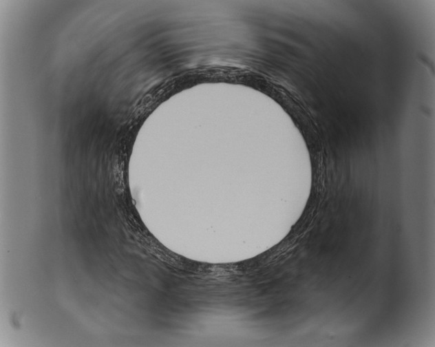 X0000099441013200806061039