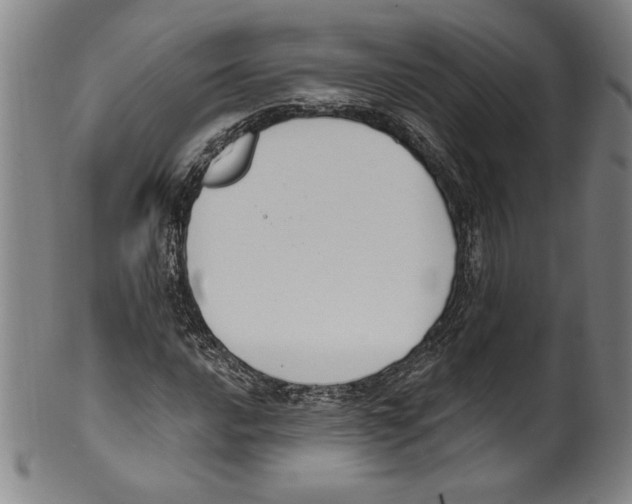 X0000099441016200806061039