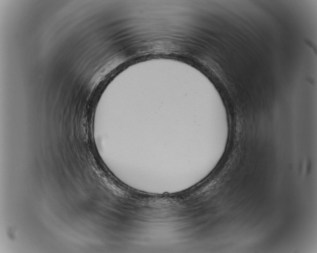 X0000099441018200806061039