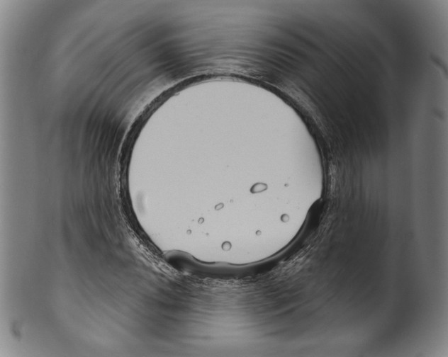 X0000099441020200806061039