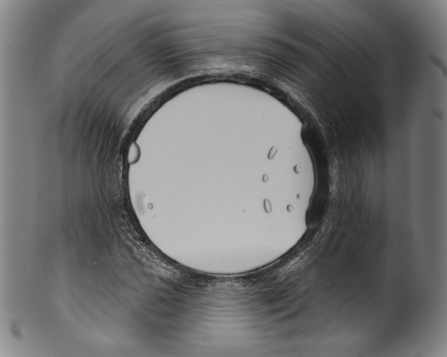 X0000099441021200806061039