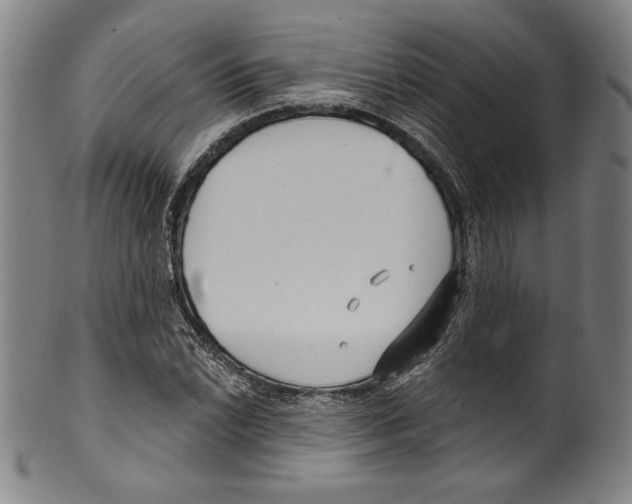 X0000099441022200806061039