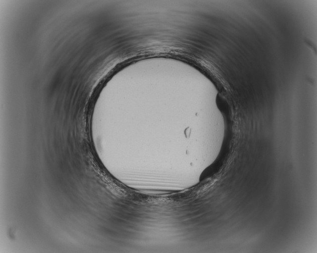 X0000099441023200806061039