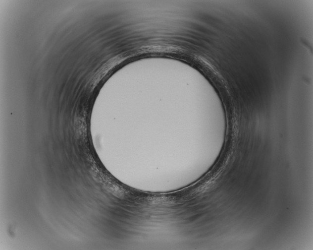 X0000099441025200806061039