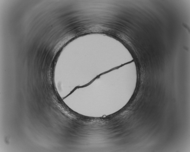 X0000099441026200806061039