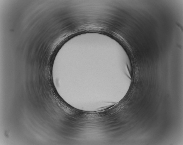 X0000099441027200806061039