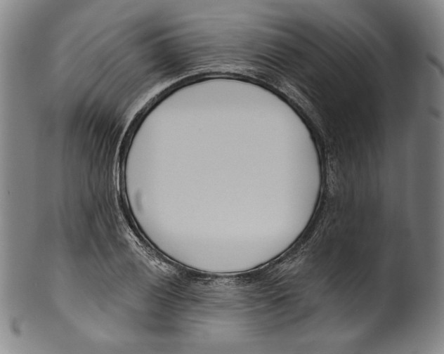 X0000099441028200806061039