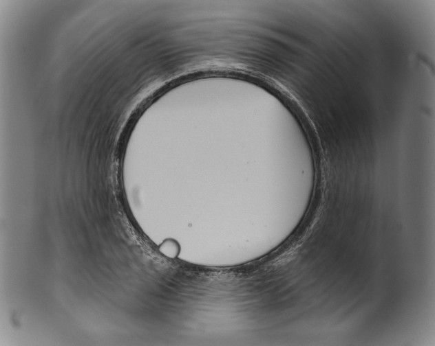 X0000099441029200806061039