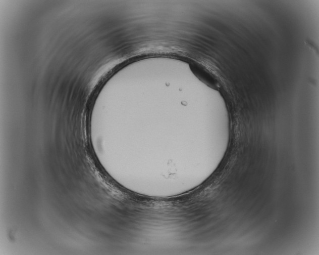 X0000099441030200806061039