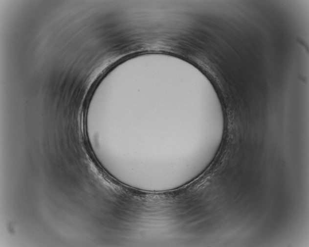 X0000099441032200806061039