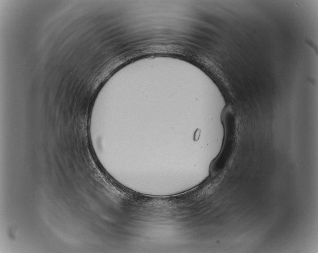 X0000099441033200806061039