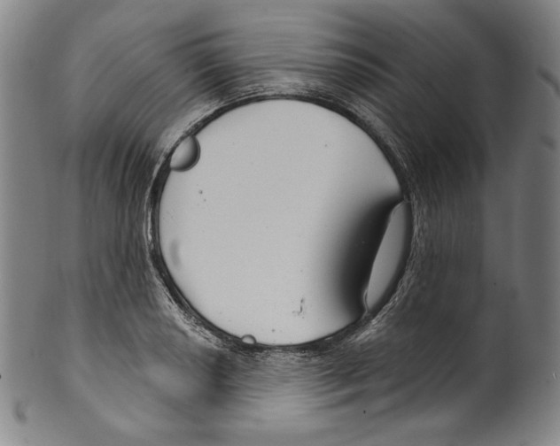 X0000099441034200806061039