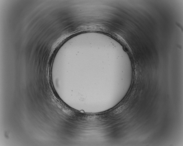 X0000099441035200806061039