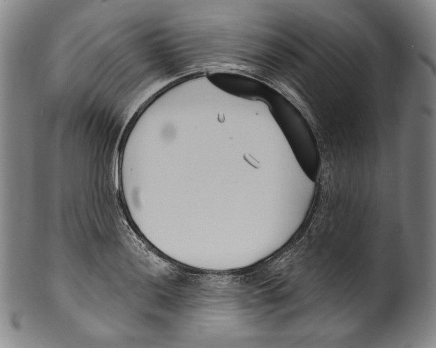 X0000099441036200806061039