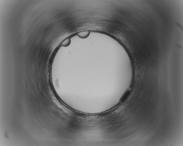 X0000099441038200806061039