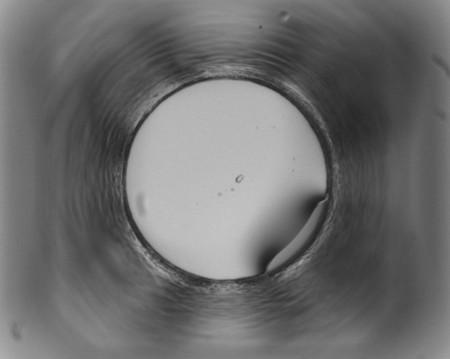 X0000099441041200806061039