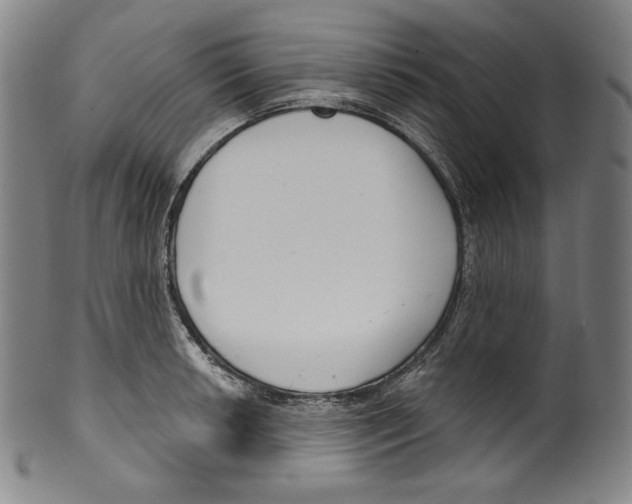 X0000099441042200806061039